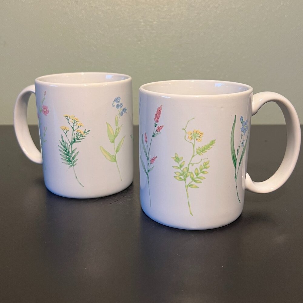 Botanical Garden Wildflower Floral Ceramic Coffee Mug Tea Cup Set of 2 Thailand